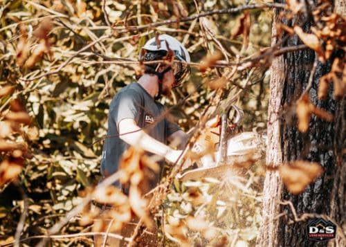 Tree man working a tree saw.